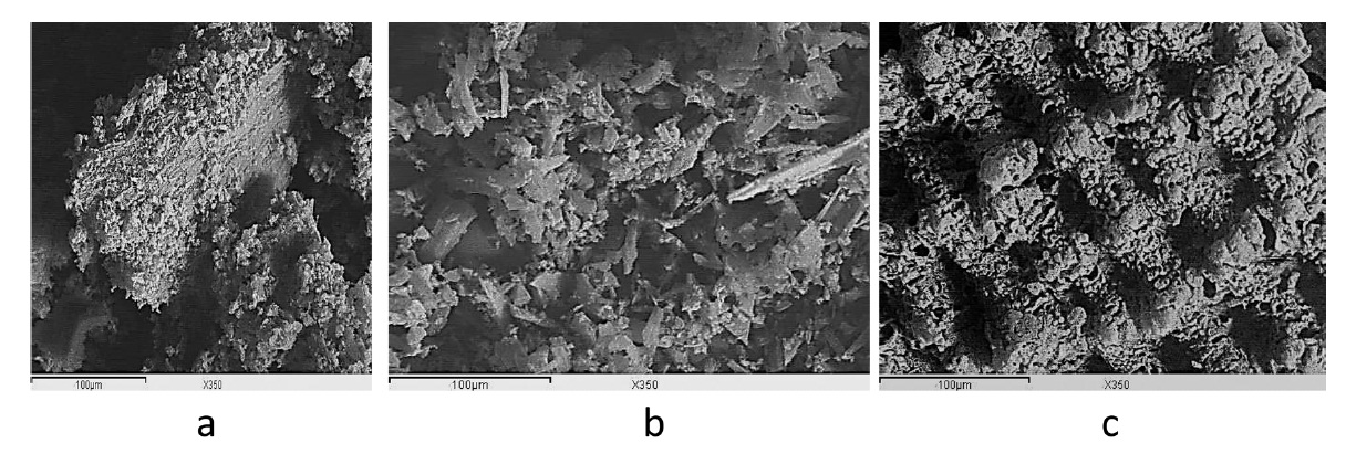 Scanning electron microscopy for activated carbons: (a) SLC, (b) PLC, (c) NLC.