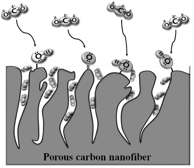 Suggested mechanism for the improved effects of oxyfluori-natedactivated carbon nanofibers.