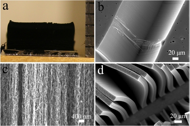 (a) Optical microscope image of highly dense vertically aligned single walled carbon nanotubes (SWCNTs) grown with ethanol based chemical vapor deposition technique. (b) Low magnification scanning electron microscope (SEM) image of vertically aligned SWCNTs. (c) High magnification SEM image shows self-aligned SWCNTs. (d) Low magnifica-tion SEM image shows line pattern grown vertically aligned SWCNTs.