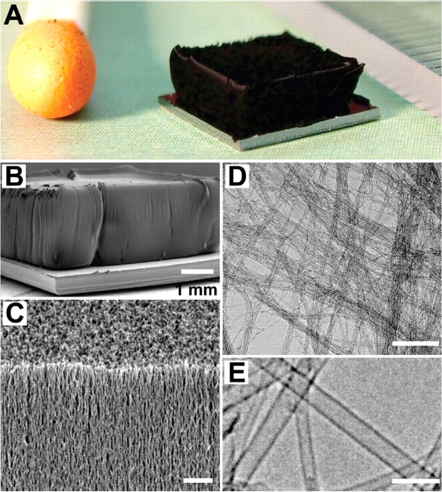 single walled carbon nanotube (SWCNT) forest grown with water-assisted chemical vapor deposition. (a) Picture of a 2.5-mm-tall SWCNT forest on a 7-mm by 7-mm silicon wafer. The matchstick on the left and ruler with millimeter markings on the right are for size reference.(b) Scanning electron microscopy (SEM) image of the same SWCNT forest. Scale bar, 1 mm. (c) SEM image of the SWCNT forest ledge. Scale bar, 1㎛. (d) Low-resolution transmission electron microscopy (TEM) image of the nanotubes. Scale bar, 100 nm. (e) High-resolution TEM image of the SWCNTs. Scale bar, 5 nm. From Hata et al. [81]. Reprinted with permission from AAAS.