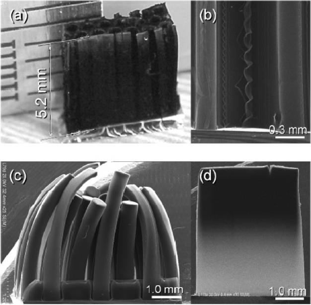 Optical images of 0.5 cm long vertically aligned single walledcarbon nanotubes (SWCNTs) grown on different substrates. (a) A honey-combmat (pitch size: 900 ㎛, hole diameter: 700 ㎛). (b) A cross-sec-tional-image. (c) Vertically aligned SWCNT rod array. (d) A crosssectionalimage. Reprinted with permission from Zhong et al.  [97]. Copyright (2007) American Chemical Society.