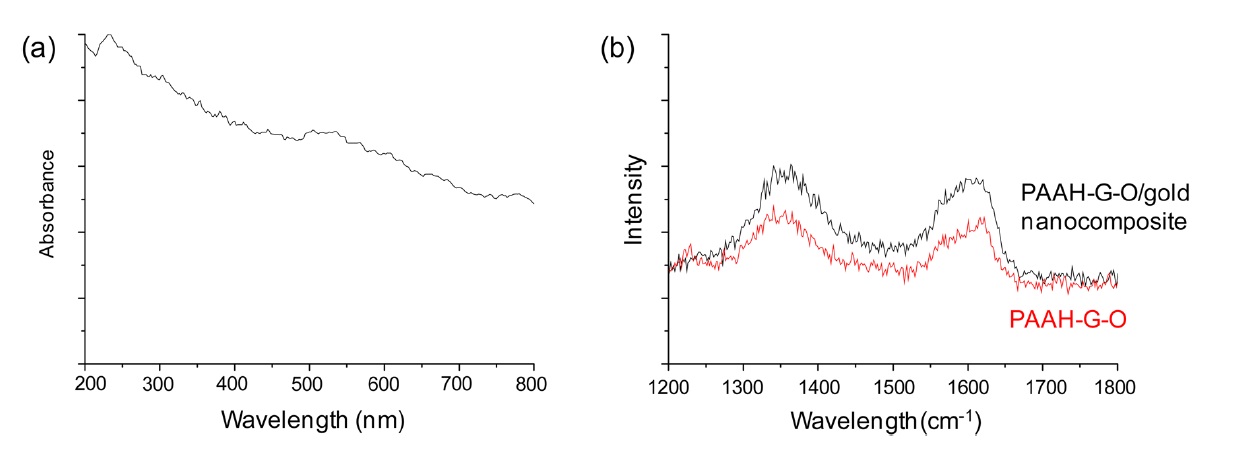 UV-vis spectrum of the PAAH-G-O/gold nanocomposite dispersed in water (a), Raman spectra of PAAH-G-O and its nanocomposite with 5-nm gold nanoparticles (b). PAAH: polyallylamine hydrochloride, G-O: graphene oxide.