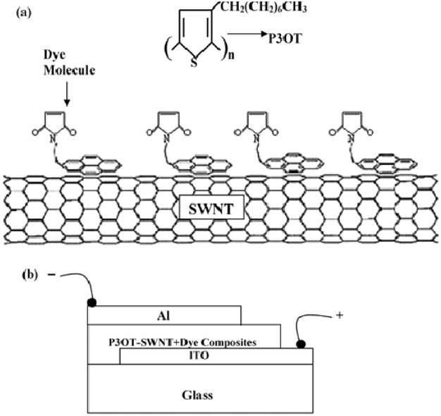 (a) Detailed scheme of the dye molecule (PM) attachment to the single-walled carbon nanotube (SWNT) surface, and (b) device architec-ture of the photovoltaic cell. Reprinted with permission from [81]. Copy-right 2004 American Chemical Society.