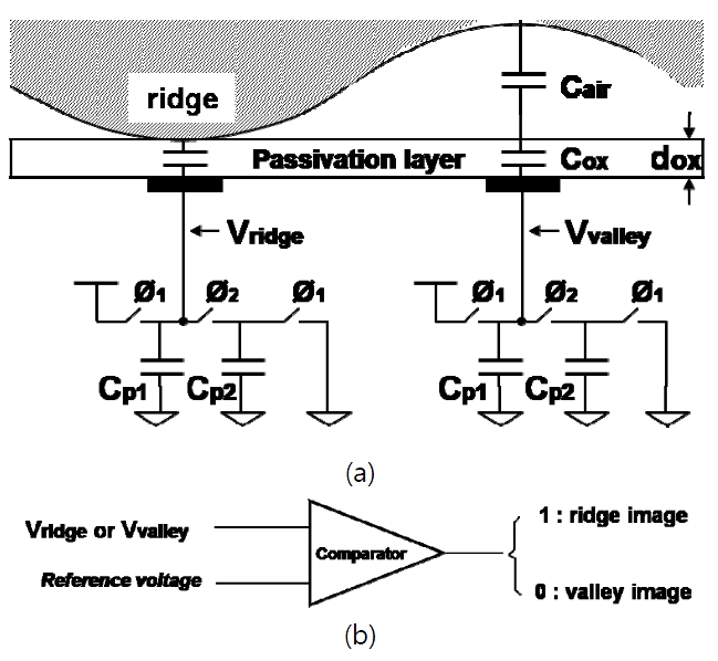 Model of capacitive fingerprint sensing scheme: (a) capacitive fingerprint sensing scheme, (b) detection of a ridge and valley using comparator.
