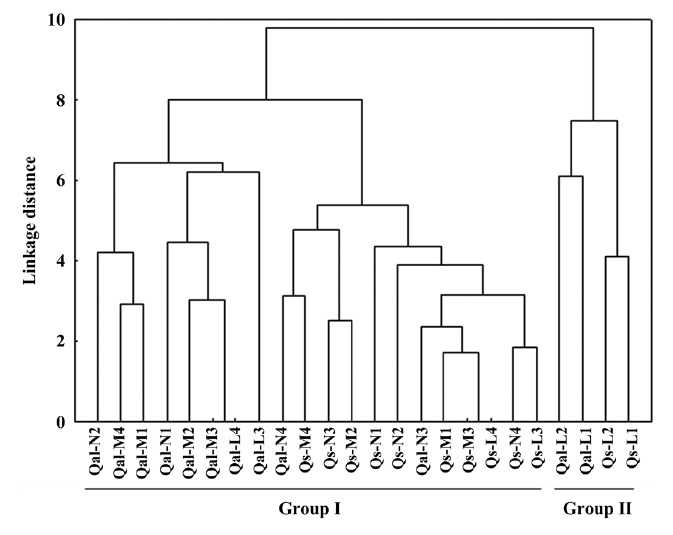Unweighted pair-group average clustering of two species treated with three environmental factors (L, light treatment; M, moisture; N, nutrient). Numerals within plot indicate treatment gradients in each environmental factor. Qal, Quercus aliena; Qs, Q. serrata.