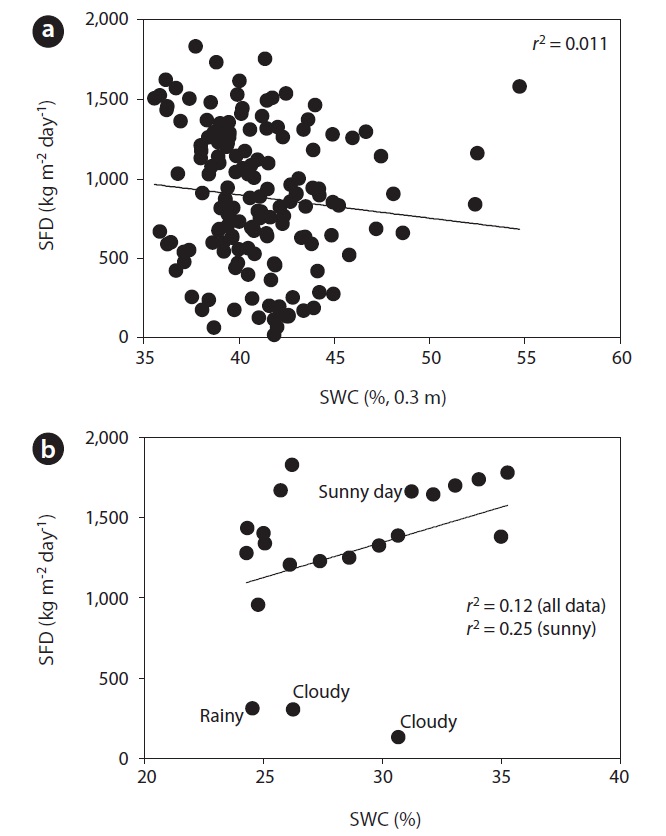 Correlation between sap flux density (SFD) and soil water content (SWC) measured at 0.3 m during (a) non-drought period and (b) drought period.