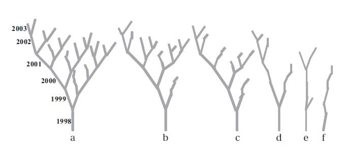 Some observed branching patterns in Aucuba japonica Thunb. Clump forms of (a), (b), and (c) are generally found at brighter sites and in the uppermost layer of the crown. In these cases, the plant mostly produces terminal reproductive buds where multiple extension units (EUs) elongate from a single bud. Clump forms of (d), (e), and (f ) are often found at darker sites and at the lower part of the crown where buds are mostly of the terminal vegetative type that can give birth to a single shorter EU. They can resume production of a terminal reproductive bud if their size exceeds the critical size (dry weight) for flowering.