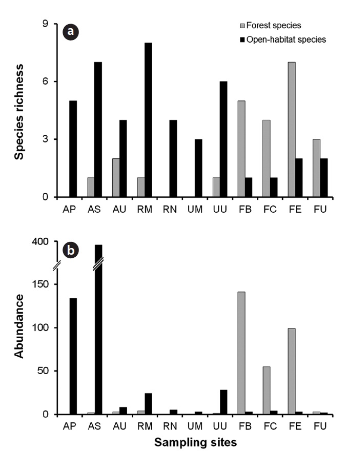 Species richness (a) and abundance (b) of ground beetles of surveyed sites. Abbreviation of surveyed sites is defined in Table 1.