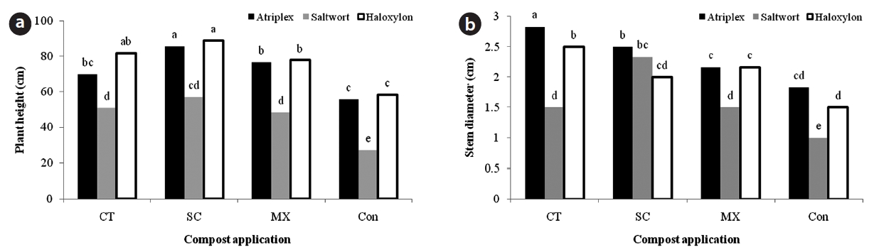 Responses of Atriplex, Saltwort, and Haloxylon plant height (a) and stem diameter (b) to compost application. There were no significant differences between columns with similar letters. CT, compost tea; SC, solid compost; MX, mixture compost; Con, control.