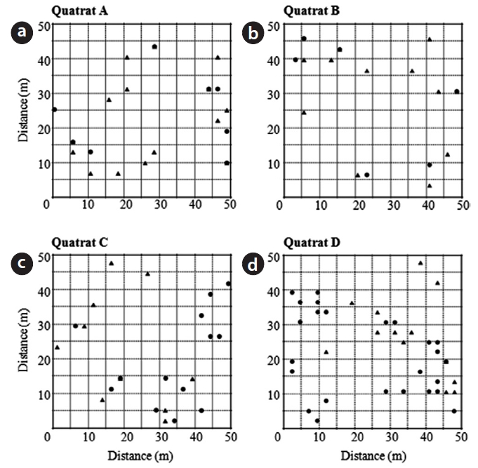 Distribution of male (▲) and female (●) Torreya nucifera in the four quadrats. (a) Quadrat A. (b) Quadrat B. (c) Quadrat C. (d) Quadrat D.