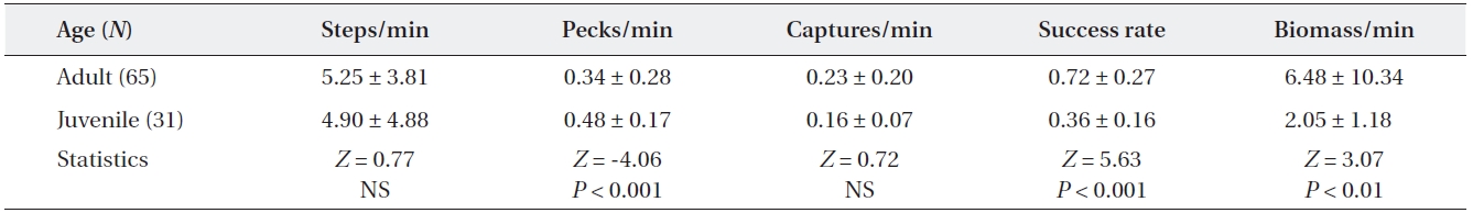 Comparisons of feeding efficiency between adult and juvenile grey herons