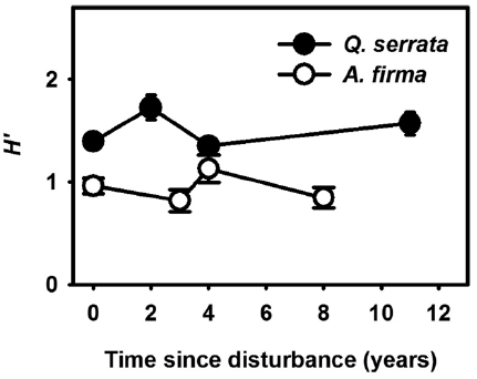 Changes in the Shannon index (H′) with the lapse of time after thinning in natural (Quercus serrata) and planted (Alnus firma) stands.