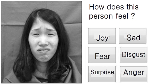 Quiz about other's emotion.