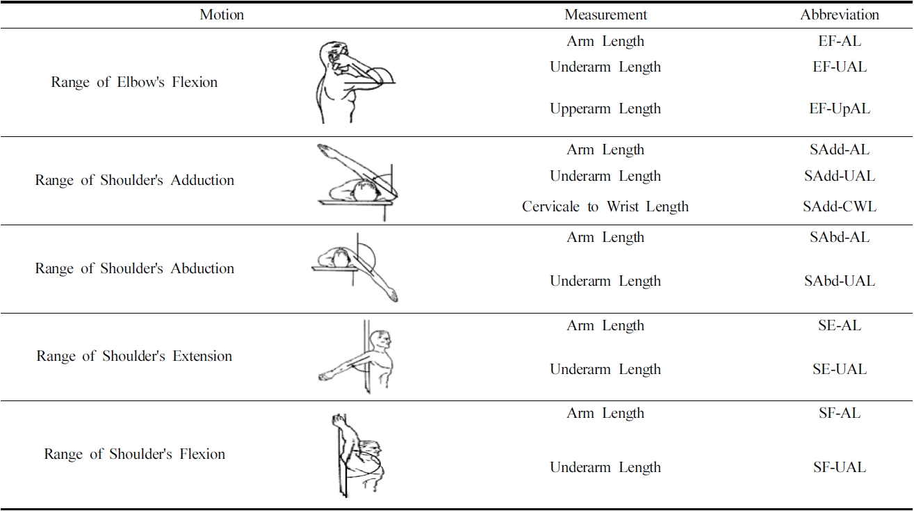 Body surface length according to motion