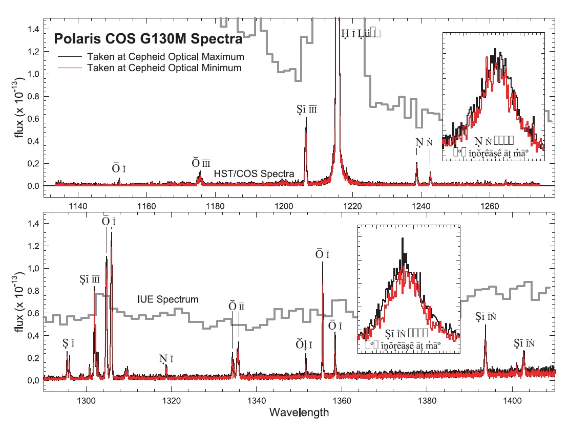 The two Hubble Space Telescope (HST)/cosmic origins spectrograph (COS) G130M spectra of Polaris are shown. The black spectrum was taken near the phase of maximum light, and the red spectrum was taken near minimum light. Many of the important emission features are labeled. The thick gray line above the COS spectra is the best-exposed international ultraviolet explorer (IUE) spectrum of Polaris. As shown, it is heavily affected by scattered light, especially below 1,180 A where it rises above the scale of the plot.