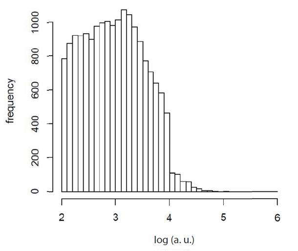Histogram of the final distribution of fragile binary separations computed by Johnston et al. (2012). The initial sample consisted of a flat distribution containing 103 pairs in each bin from 2 < log (a) < 4. for a Galactic disk age of 10 Gyr. The effects of orbital amplification are evident. About ten percent of these evolved pairs contain at least one white dwarf.