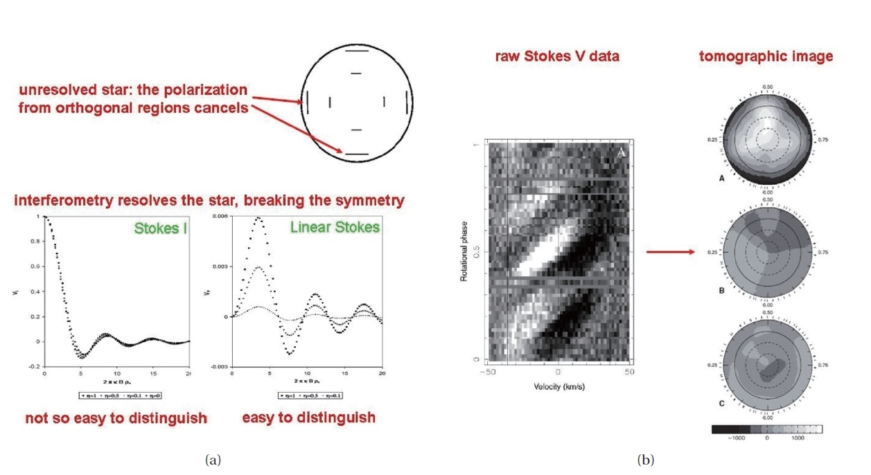 (a) Early star schematic with spatially resolved linear polarization and corresponding Stokes visibilities. (b) Radial, azimuthal, and meridional magnetic field distributions of the late-type star V374 Peg.