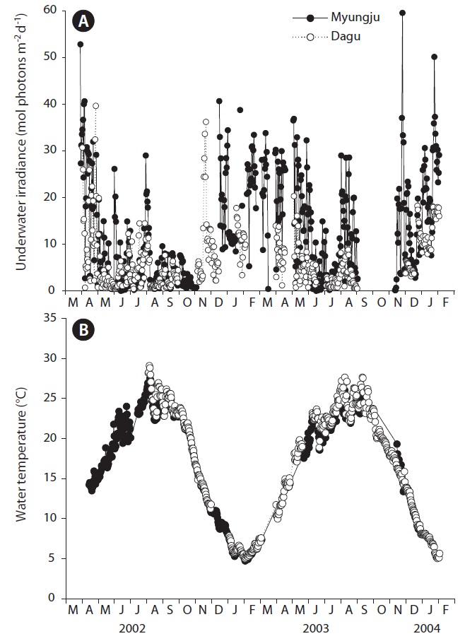 Daily underwater irradiance (A) and water temperature (B) at the eelgrass canopy level in the study sites from March 2002 to January 2004.