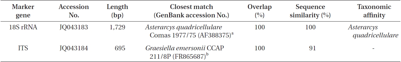 Results from BLAST searches using the 18S rRNA and ITS sequences of Asterarcys quadricellulare KNUA020