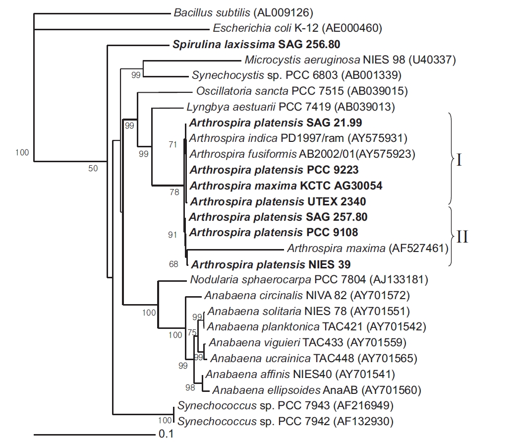 Neighbour-joining tree showing relationships among Arthrospira strains and other cyanobacteria, inferred from 16S rRNA gene sequence analyses. Bootstrap values >50% are shown. Bacillus subtilis (AL009126) and Escherichia coli (AE000452) were used as an outgroup to define the root of the tree. Bar, 0.1 substitutions per nucleotide position. SAG, Sammlung von Algenkulturen der Universitat Gottingen, Germany; NIES, National Institute for Environmental Studies Collection, Tsukuba, Ibaraki, Japan; PCC, Pasteur Culture Collection of Cyanobacterial Strains, Paris, France; KCTC, Korean Collection for Type Cultures, Daejeon, Korea; UTEX, Culture Collection of Algae at the University of Texas at Austin, Austin, TX, USA.