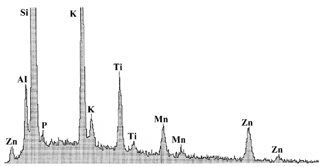 X-ray spectrum of the stalk and base of Pseudocharaciopsis minuta. Manganese (Mn) is the main heavy element shown. Other elements present (Al, aluminum; Ti, titanium; K, potassium; Si, silicon; Zn, zinc) comprise the cover-slip on which the cells grew attached, the aluminum (Al) stub on which the cover slip was attached and the residue from an incompletely washed sample.