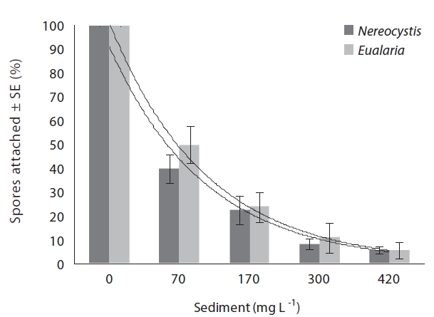 Average attachment rates of Nereocystis and Eualaria spores at various suspended sediment loads (0, 70, 170, 300, and 420 mg L-1). Values are means (± 1 SE) from five replicate experiments with three replicates per sediment concentration treatments per experiment. An exponential regression model was used to create a regression least squares fit through the data points.