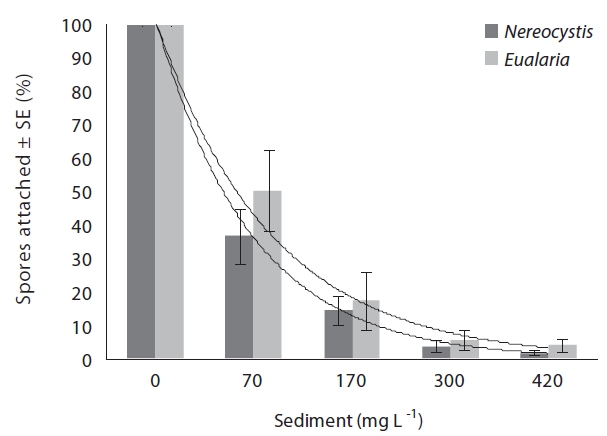 Average Nereocystis and Eualaria spore attachment rates onto the substrata with various amounts of already settled sediments (0, 70, 170, 300, and 420 mg L-1). Values are means (± 1 SE) from five replicate experiments with three replicates per sediment concentration treatments per experiment. An exponential regression model was used to create a regression least squares fit through the data points.
