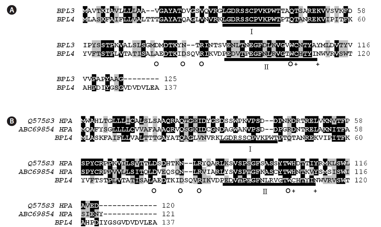 Sequence comparison of BPL-4 with BPL-3 (A) and related H group lectins (B). Two conserved domains between BPL-3 and BPL-4 were underlined. Similarities between the sequences are shown with shaded background. Predicted amino acids involved in hydrogen bonding through their side chain (o) and hydrophobic contracts to the ligand (+) are marked.