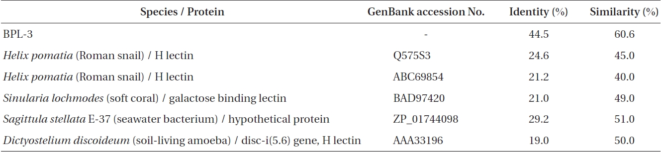 Sequence identity and similarity between BPL-4 and related proteins