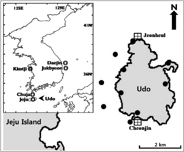 Map showing the collecting sites (qualitative analysis [dark circles] quantitative analysis [squares]) of macroalgal samples at Udo and the comparison sites (double circles) from references.
