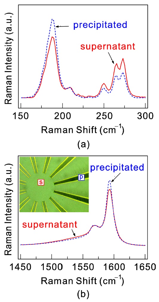 In situ Raman spectra of the single walled nanotubes (SWCNTs) aligned between the electrodes (red solid lines) and spectra measured at a position away from the aligned SWCNTs (blue dashed lines) at 150-300 cm-1 (a) and at 1450-1650 cm-1 (b). The measurements were carried out while an ac electric field was applied for all the electrode pairs. Inset in (b) shows an optical microscope image of the deuterium oxide-SWCNTs solution on the wheel-type electrodes. The Raman spectra for the precipitated and supernatant SWCNTs were obtained at the positions marked by “p” and “s,” respectively.