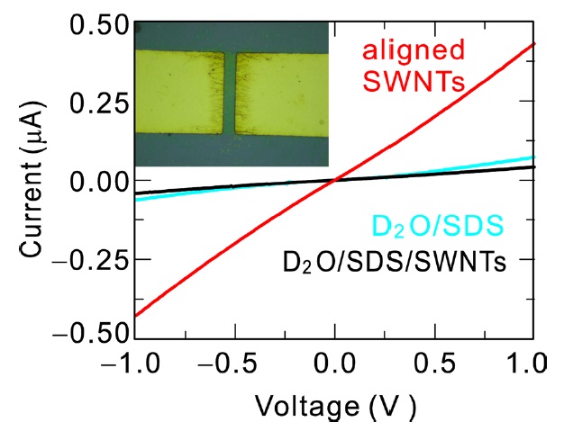 I-V characteristics of the single walled nanotubes (SWCNTs) chains formed by the application of the electric field together with characteristics of the samples of the deuterium oxide/sodium dodecyl sulfate (SDS) solution and SWCNTs dispersed in the solution without dielectrophoresis alignment for comparison. All the measurements were done in liquid nitrogen. Details can be found in the text. Inset shows an optical microscope image of the electrodes used for this experiment. SWCNTs are aligned by the electric field. The gap between the electrodes is 6 μm.