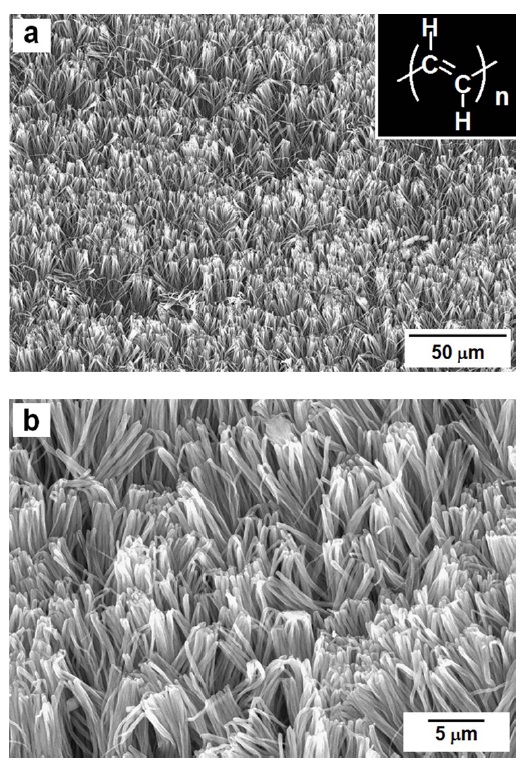 Scanning electron microscope photographs of vertically aligned polyacetylene film synthesized in nematic liquid crystal reaction field with vertically applied magnetic field of 5 Tesla.