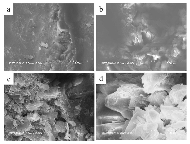 Scanning electron microscope images of pure PPS, and PPS/GO nanocomposites: (a) pure PPS, (b) 5 wt% GO, (c) 10 wt% GO, (d) 20 wt% GO. PPS: poly (p-phenylene sulfide), RGO: reduced graphite oxide.