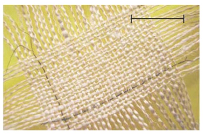 A woven fabric containing two nanotube-fiber supercapacitors (scale bar, 1 cm) [60].
