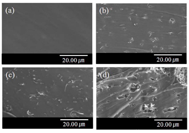 Field emission scanning electron microscopy images of PVA/ PAAc/PNIPAAm/MWCNT nanocomposite hydrogels; (a) MWCNT 0, (b) MWCNT 0.5, (c) MWCNT 1.0, and (d) MWCNT 3.0 wt%. PVA: poly(vinyl alcohol), PAAc: poly(acrylic acid), PNIPAAm: poly(N-isopropylacrylamide), MWCNT: multi-walled carbon nanotube.