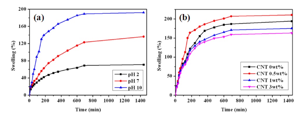 pH-sensitive swelling behavior of PVA/PAAc/PNIPAAm/MWCNT nanocomposite hydrogels; (a) swelling at various pHs for hydrogel containing 0.5 wt% MWCNT and (b) various contents of MWCNTs in hydrogel for swelling in pH 10 buffer. PVA: poly(vinyl alcohol), PAAc: poly(acrylic acid), PNIPAAm: poly(N-isopropylacrylamide), MWCNT: multi-walled carbon nanotube.