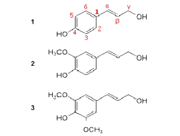 Molecular structure of LIGNIN having three common mono-lignols [(1) Paracoumaryl alcohol, (2) Coniferyl alcohol and (3) Sinapyl alcohol]