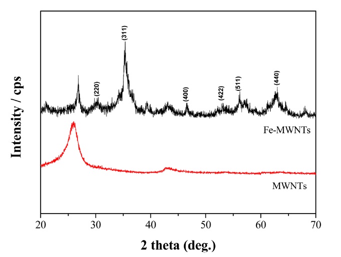 X-ray diffraction curves of multi-walled carbon nanotubes (MWNTs) and Fe-MWNTs.