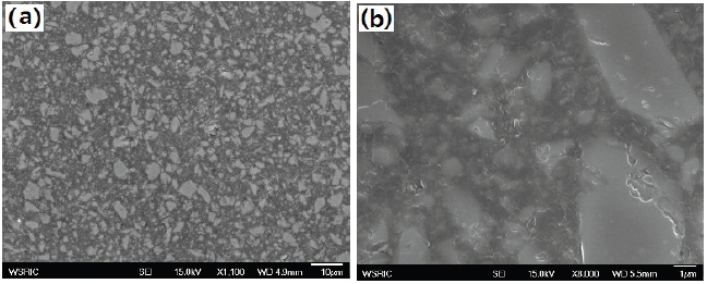 (a) SEM of the microstructure of the EMNC-65-0.3 and (b) its magnified image.