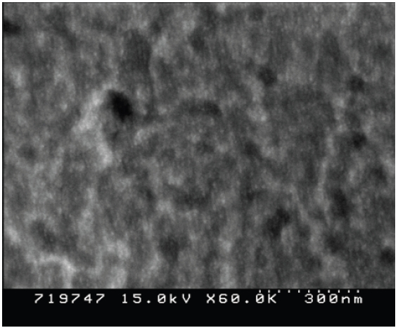 SEM image of the ZnO thin film deposited with a laser density of 0.3 J/cm2 at a substrate temperature of 200℃.
