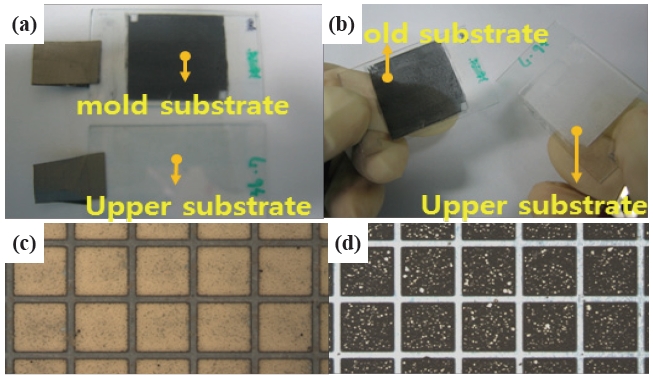 Photographs of (a) the upper and mold substrate filled with a mixture of white and black particles, (b) debonded substrates. Microscopic photographs of the debonded, (c) upper, and (d) mold substrate.