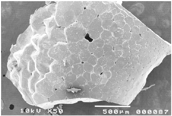 SEM image of the as-prepared spherical molten sample.