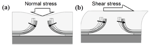 Detection principle for sensing (a) normal stress and (b) shear stress. Adapted from [31].