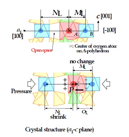 Origin of piezoelectricity on langasite projected from [120]. Position X is the center of oxygen atoms on A-polyhedron. Under pressure, ML does not change and NL shrinks because of the role of openspace as a damper.