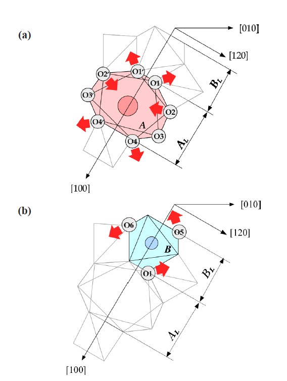 (a) Deformation of A-polyhedron by substitution Sr for Ca. As a result, A-polyhedron expands toward [100] and shrinks toward [120], (b) deformation of B-polyhedron by substitution Ta for Nd. The equivalent oxygen ions rotate around the 3-fold axis, and the BL length becomes large.