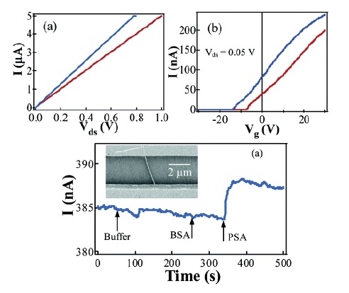 I-VDS and I-VG shifts of an In2O3 nanowire device before (Red) and after (Blue) PSA incubation. The bottom graph shows current variation of real-time measurement of the In2O3 NW device [53].