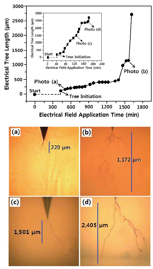 Tree growth rate in epoxy/layered silicate (1 wt%) nanocomposite at a constant electrical field of 781.4 kV/mm (60 Hz) at 30℃. The inset was for the neat epoxy resin at the same conditions. The morphology of electrical tree corresponding to photos (a)-(d) was collected during HV applying for (a) 5,270 min and (b) 15,680 min in the epoxy/layered silicate (1 wt%) nanocomposite, and (c) 135 min and (d) 181 min in the neat epoxy.