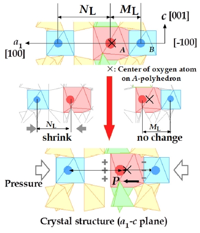 Mechanism of piezoelectricity on langasite projected from [120]. Position X is the center of oxygen atoms on A-polyhedron. Under pressure, ML does not change and NL shrinks because of the role of open-space as a damper.
