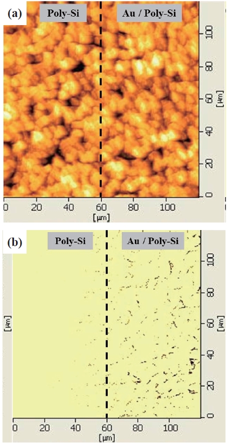 (a) Topological images and (b) photo-induced current images with 0 V bias and 80 W light intensity. Scanning area covers both (left half) bare poly-Si and (right half) Au thin-film-coated surfaces.
